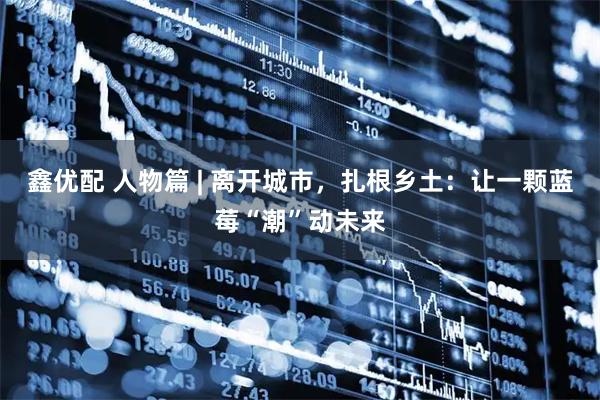 鑫优配 人物篇 | 离开城市，扎根乡土：让一颗蓝莓“潮”动未来