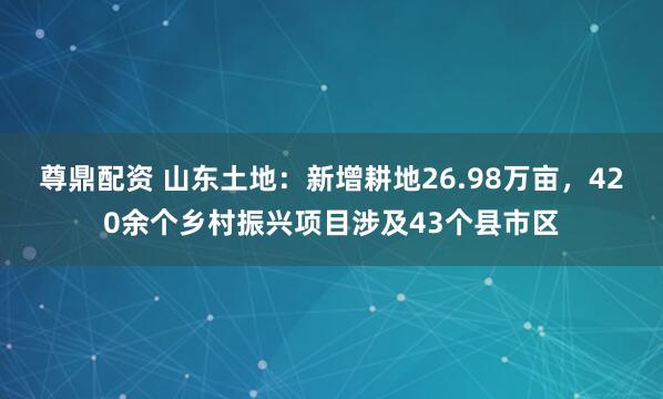 尊鼎配资 山东土地:新增耕地26.98万亩,420余个乡村振兴项目涉及43个县市区
