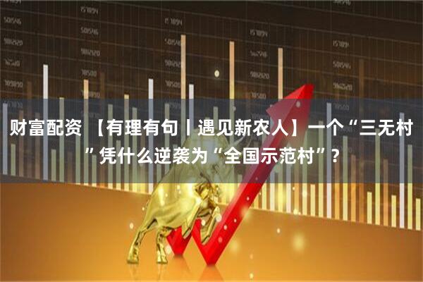 财富配资 【有理有句丨遇见新农人】一个“三无村”凭什么逆袭为“全国示范村”？